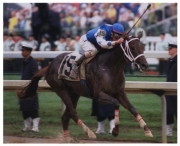 2004 Kentucky Derby Smarty Jones #873 - Art Print | Movie Poster Prints from Posterazzi