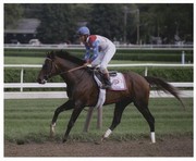 Cigar Saratoga Workout - Art Print | Movie Poster Prints from Posterazzi
