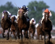 1987 Kentucky Derby Alysheba #809 - Art Print | Movie Poster Prints from Posterazzi
