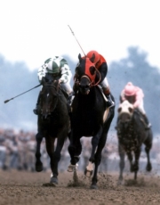 1976 Kentucky Derby Bold Forbes #806 - Art Print | Movie Poster Prints from Posterazzi