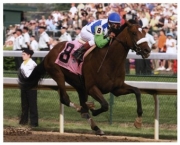 2006 Kentucky Derby Barbaro Finish - Art Print | Movie Poster Prints from Posterazzi