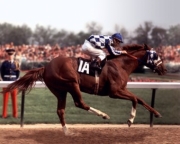 1973 Kentucky Derby Secretariat #101 - Art Print | Movie Poster Prints from Posterazzi