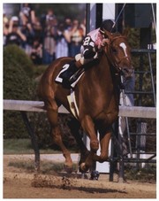 Affirmed 1978 Kentucky Derby #406 Color - Art Print | Movie Poster Prints from Posterazzi