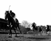 1948 Ketucky Derby Citation - Art Print | Movie Poster Prints from Posterazzi