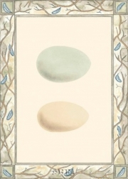 Antique Eggs I - Art Print | Movie Poster Prints from Posterazzi