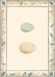 Antique Eggs II - Art Print | Movie Poster Prints from Posterazzi