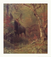 Moose - Art Print by Albert Bierstadt | Movie Poster Prints from Posterazzi