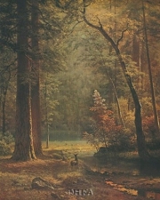 Dogwood - Art Print by Albert Bierstadt | Movie Poster Prints from Posterazzi