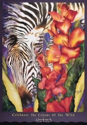 Celebrate the Colors of the Wild - Art Print by Joan Hansen | Movie Poster Prints from Posterazzi