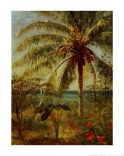 "Palm Tree, Nassau" - Art Print by Albert Bierstadt | Movie Poster Prints from Posterazzi