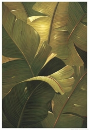 Amazon Canopy - Art Print by  Verdi | Movie Poster Prints from Posterazzi