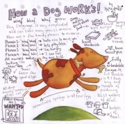 How a Dog Works - Art Print by  Helen Doodle | Movie Poster Prints from Posterazzi