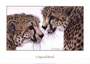 A Special Bond - Art Print by Jan Henderson | Movie Poster Prints from Posterazzi