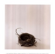 A la Curtis - Art Print by Ruth Silverman | Movie Poster Prints from Posterazzi
