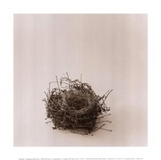 A Round Bed - Art Print by Ruth Silverman | Movie Poster Prints from Posterazzi