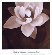 Amazon Lotus - Art Print by Rebecca Swanson | Movie Poster Prints from Posterazzi