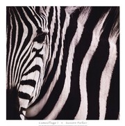 Camouflage I - Art Print by Susann Parker | Movie Poster Prints from Posterazzi