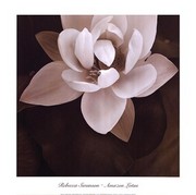 Amazon Lotus - Art Print by Rebecca Swanson | Movie Poster Prints from Posterazzi