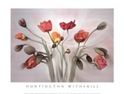 Icelandic Poppies #2 - Art Print by Huntington Witherill | Movie Poster Prints from Posterazzi