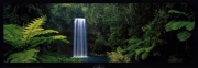 "Millaa Millaa Falls, Quensland, North East Australia" - Art Print by Peter Lik | Movie Poster Prints from Posterazzi