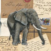 Africa - Art Print | Movie Poster Prints from Posterazzi