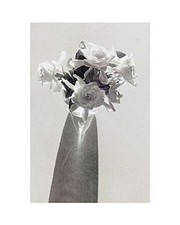 Roses - Art Print by Lilo Raymond | Movie Poster Prints from Posterazzi