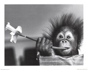Hair Raising Experience - Art Print by Mike Hollist | Movie Poster Prints from Posterazzi