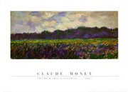 "Field of Irises, Giverny" - Art Print by Claude Monet | Movie Poster Prints from Posterazzi