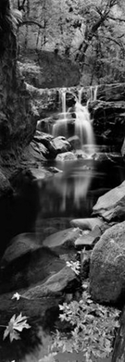 Coquille River - Oregon - Usa - Art Print | Movie Poster Prints from Posterazzi