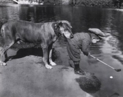 Retrieving The Ball - Art Print by Getty Images | Movie Poster Prints from Posterazzi