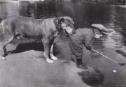 Retrieving The Ball - Art Print by Getty Images | Movie Poster Prints from Posterazzi