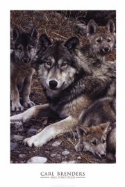 Den Mother (detail) - Art Print by Carl Brenders | Movie Poster Prints from Posterazzi