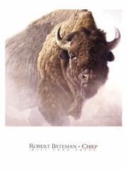 Chief (detail) - Art Print by Robert Bateman | Movie Poster Prints from Posterazzi