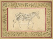 African Zebra - Art Print by Banafshe Schippel | Movie Poster Prints from Posterazzi