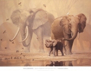 African Elephants and Namaqua Doves - Art Print by Ian Coleman | Movie Poster Prints from Posterazzi