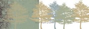 "A Whisper Through the Trees (12x36"""")" - Art Print by Erin Clark | Movie Poster Prints from Posterazzi