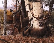 Autumn's Majesty - Art Print by Kevin Daniel | Movie Poster Prints from Posterazzi