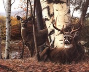 Autumnos Majesty - Art Print by Kevin Daniel | Movie Poster Prints from Posterazzi