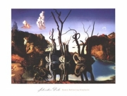 "Swans Reflecting Elephants, c.1937" - Art Print by Salvador Dali | Movie Poster Prints from Posterazzi