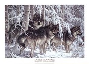 Crystal Forest (detail) - Art Print by Larry Fanning | Movie Poster Prints from Posterazzi