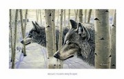 Among the Aspens - Art Print by Mickey Flodin | Movie Poster Prints from Posterazzi