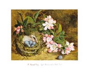 Apple Blossom and a Bird's Nest - Art Print by  Grey | Movie Poster Prints from Posterazzi