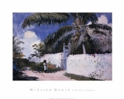 "A Garden in Nassau, 1885" - Art Print by Winslow Homer | Movie Poster Prints from Posterazzi