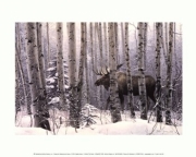 A Walk in the Woods - Art Print by Stephen Lyman | Movie Poster Prints from Posterazzi