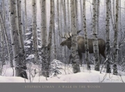 A Walk in the Woods - Art Print by Stephen Lyman | Movie Poster Prints from Posterazzi