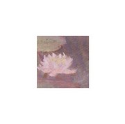 "Le ninfee rosa, 1897-98 (detail I)" - Art Print by Claude Monet | Movie Poster Prints from Posterazzi
