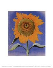 "Sunflower, New Mexico, 1935" - Art Print by Georgia O'Keeffe | Movie Poster Prints from Posterazzi