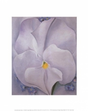 White Pansy - Art Print by Georgia O'Keeffe | Movie Poster Prints from Posterazzi