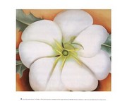 "White Flower on Red Earth, No. 1" - Art Print by Georgia O'Keeffe | Movie Poster Prints from Posterazzi