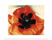 "Poppy, 1927" - Art Print by Georgia O'Keeffe | Movie Poster Prints from Posterazzi